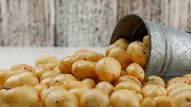 Pode congelar a batata cozida?