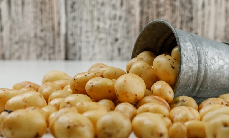 Pode congelar purê de batata na marmita?