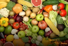 cardápio de legumes e verduras para semana