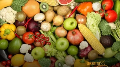 cardápio de legumes e verduras para semana
