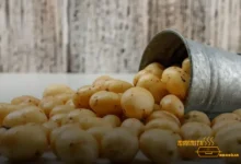 Pode congelar purê de batata na marmita?