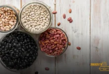 Pode colocar feijão na marmita para congelar?