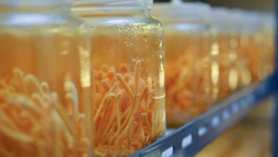 fermentação natural