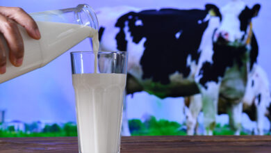 Leite De Vaca