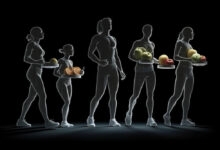 corpo humano