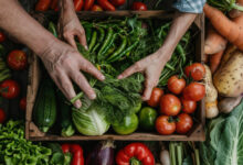 alimentos orgânicos