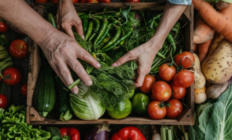 alimentos orgânicos